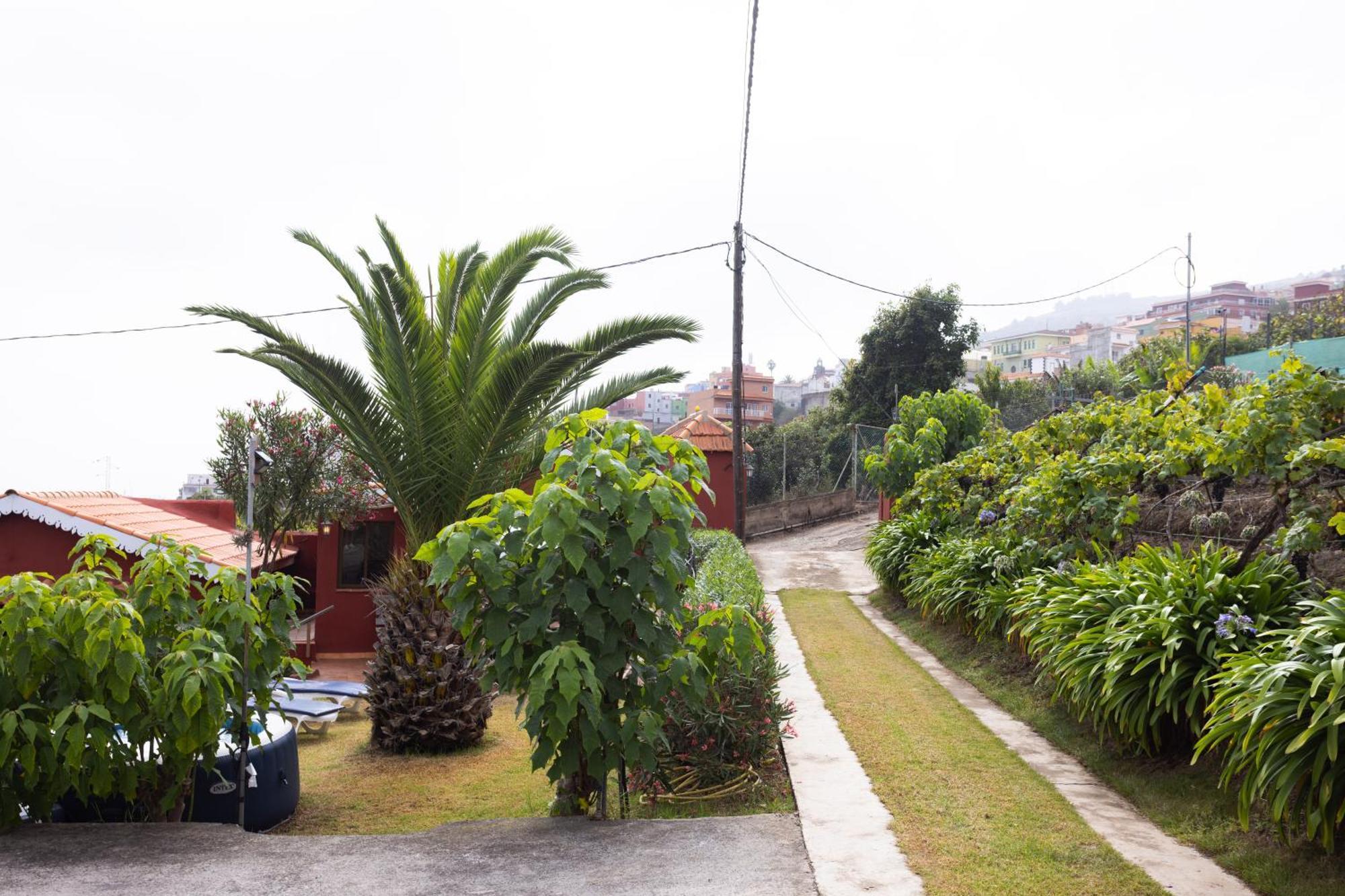 Home2Book Serene Retreat Isabel, Jacuzzi & Garden Icod el Alto Екстер'єр фото